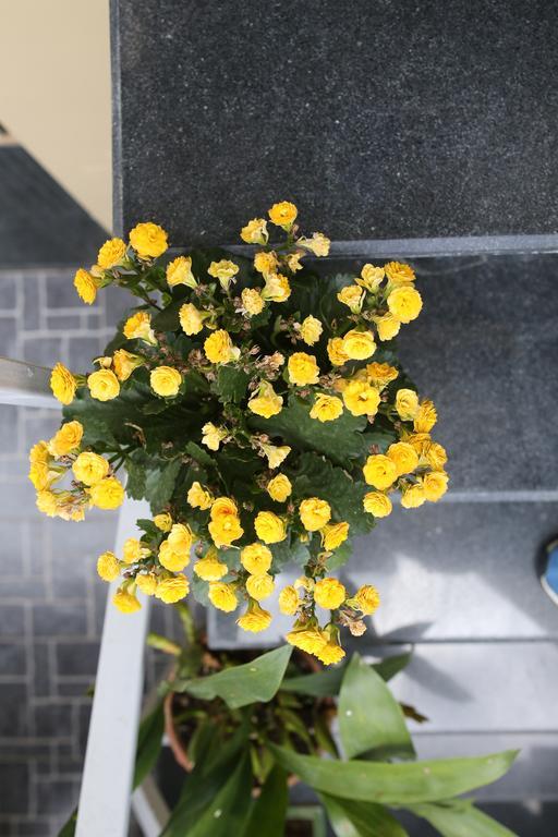 Hotel Tina Family Da Lat Zewnętrze zdjęcie